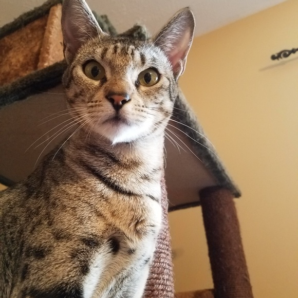 Meet your Posher, Chris - Picture 1 of 1